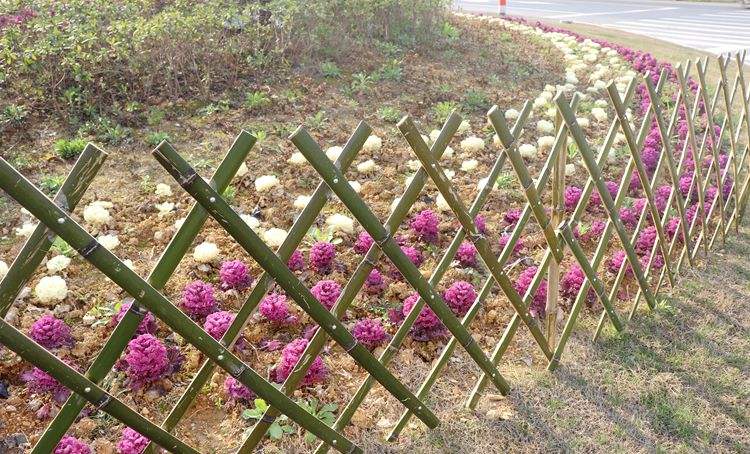 云南高速公路護(hù)欄多少錢