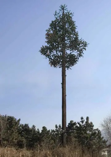 中國移動信號塔設(shè)備